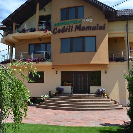 Pensiunea Codrii Mamului Lungesti Exterior foto